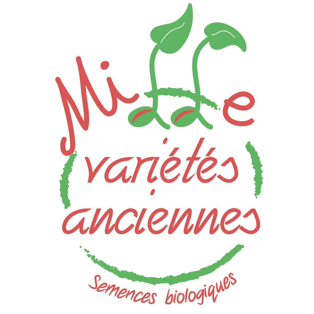 Logo mva épais semences bio