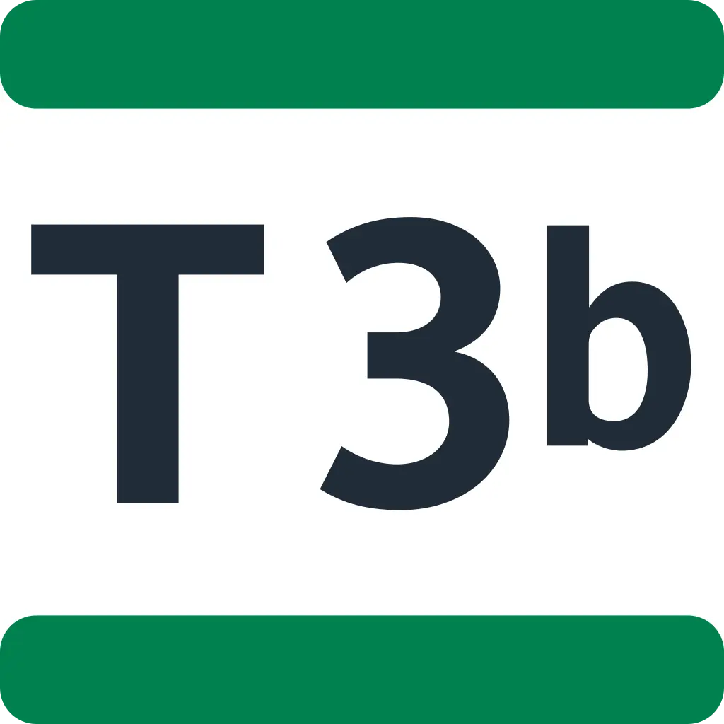Tram 3B