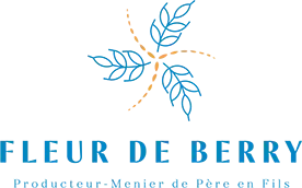Logo fleur de berry2